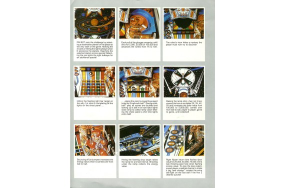 Flipper Williams PIN-BOT