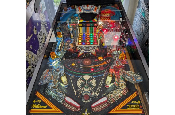 Flipper Williams PIN-BOT
